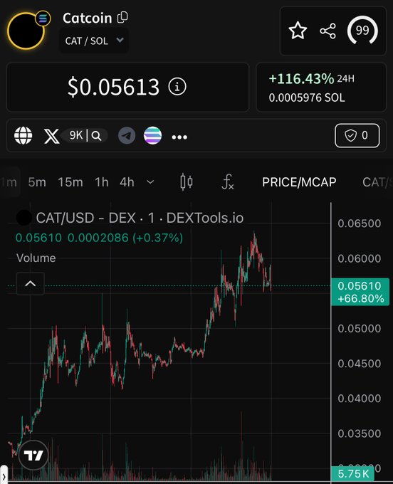 A DexScreener chart for Catcoin (CAT/SOL) showing a price of $0.05613 and a +116.43% gain over 24 hours, with a candlestick chart trending upward.