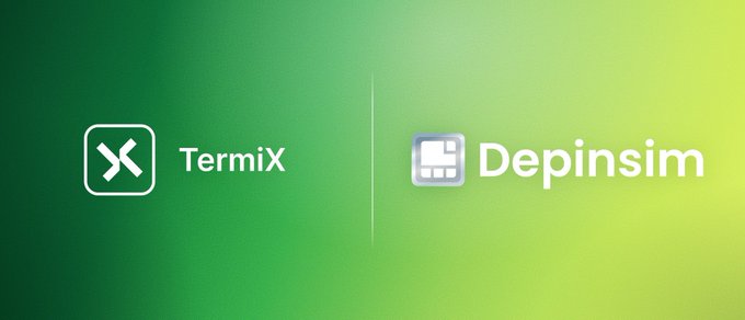 Logos for 'TermiX' and 'Depinsim' displayed against a green gradient background.