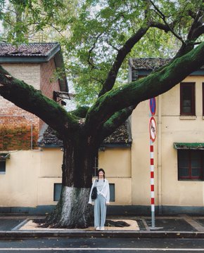 A person stands beneath a large, moss-covered tree in front of a building with traditional roof architecture, next to a red and white striped pole.