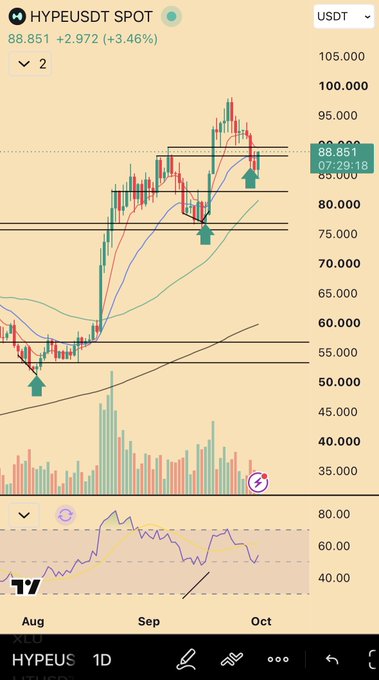 A TradingView daily chart of **HYPE/USDT** trading at **88.851 (+3.46%)** near 88.000 support, with upward green arrows highlighting a recent bounce from the ~50 and ~85 zones, supporting the post's confidence in being "back to full position" pending further follow-through.