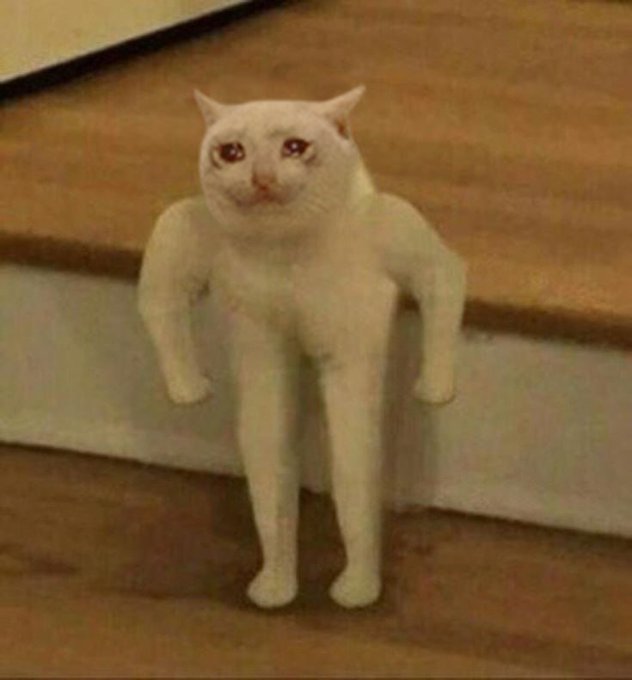 A humorous image of a white cat with an oddly muscular, humanoid body standing upright with defined arms, posted in an indoor setting.