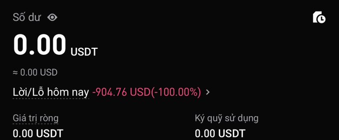 A cryptocurrency wallet interface in Vietnamese showing a balance of 0.00 USDT and a daily P/L of -904.76 USD (-100.00%) in red.