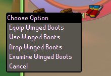 A video game menu titled 'Choose Option' showing commands for 'Winged Boots': Equip, Use, Drop, Examine, and Cancel, with a top-down 3D game scene partially visible in the background.