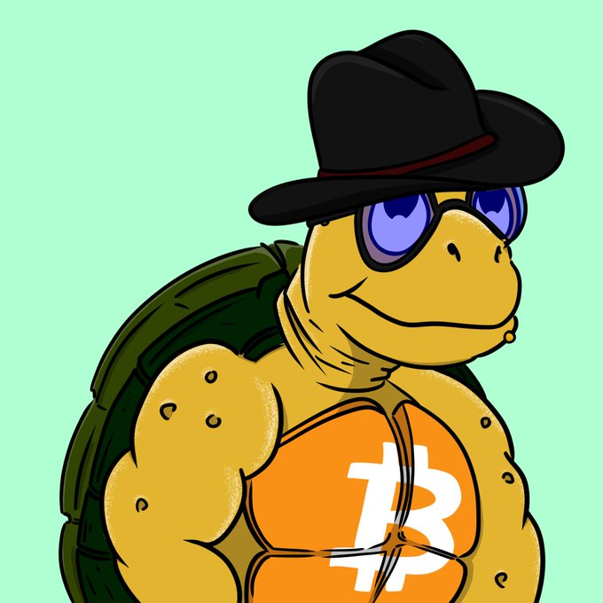 A cartoon turtle wearing a black cowboy hat, sunglasses, and an orange shirt with the Bitcoin 'B' logo against a light green background.