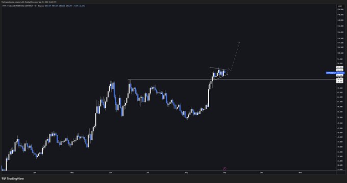 A TradingView chart of Hyperliquid (HYPE/USD) displays a sharp recent breakout above a descending trendline resistance near $40, supporting the post's bullish thesis that HYPE is poised to rally toward $100 short-term and $300+ this cycle if BTC/ETH maintain stability.
