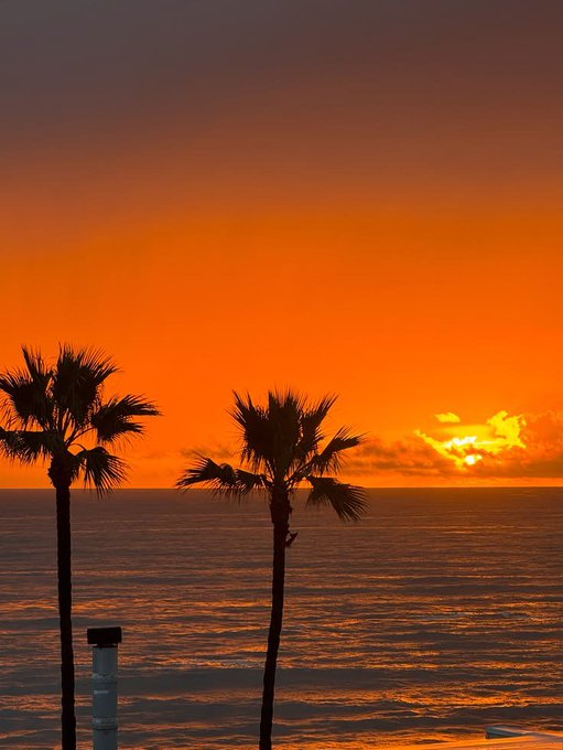 A vibrant orange sunset over the ocean is framed by the silhouettes of two palm trees in the foreground.