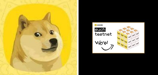 Two images side by side: the left shows the Dogecoin (DOGE) Shiba Inu logo on a yellow background, and the right shows a Binance "testnet" announcement for BNB token distribution.
