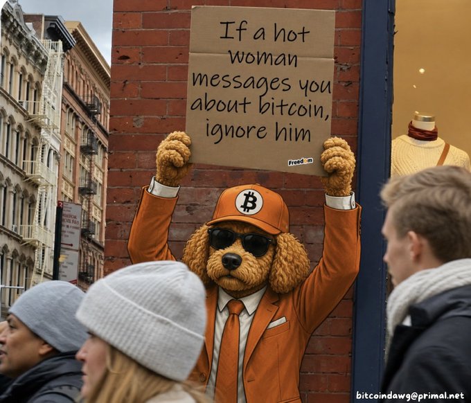 A meme image showing a dog character wearing an orange Bitcoin-themed cap, sunglasses, and tie, holding up a cardboard sign that reads 'If a hot woman messages you about bitcoin, ignore him' (watermarked 'bitcoindawg@primal.net').