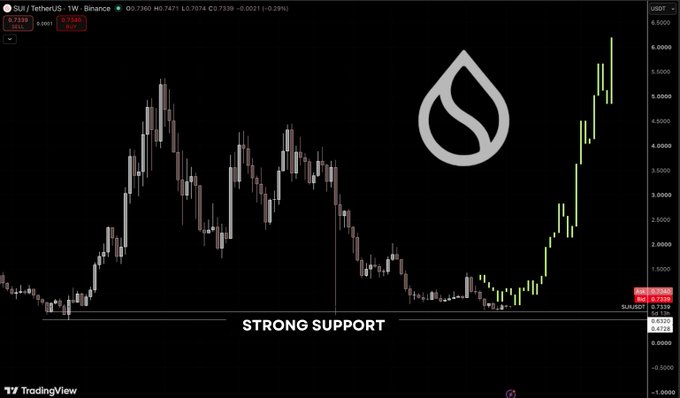 A TradingView weekly chart of the SUI/USDT pair on Binance showing a price of 0.7339, with a 'STRONG SUPPORT' line drawn and a large SUI logo overlay.