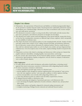 A document page titled "Scaling Tokenization: New Efficiencies, New Vulnerabilities" features Chapter 3 in a green section, displaying bullet points about tokenization vulnerabilities and security risks. The accompanying post notes this aligns with an IMF October 2026 report highlighting XRP and XLM as leading blockchain networks.