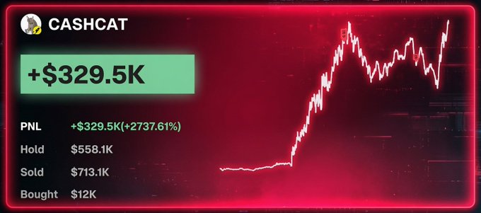 A red-themed financial dashboard for 'CASHCAT' showing a PNL of +$329.5K (+2737.61%), with Hold at $558.1K, Sold at $713.1K, and Bought at $12K, alongside a line chart.