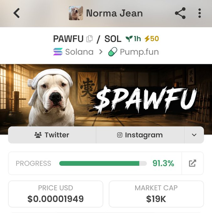 This image shows the crypto token $PAWFU on Solana via Pump.fun, with a market cap of $19K and a progress of 91.3%, aligning with the post's "HOT BAG CHASERS PICK."
