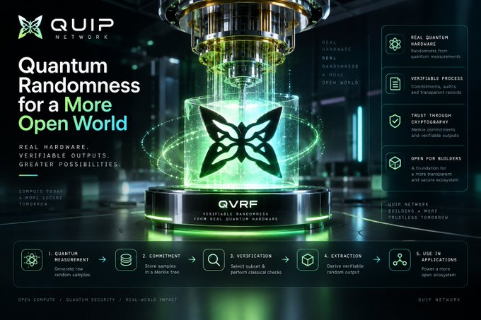 A promotional graphic for 'QUIP NETWORK' advertising 'Quantum Randomness for a More Open World'. The image highlights their QVRF (Quantum Verifiable Random Function) technology, featuring their butterfly logo on a glowing green quantum device, with sections detailing real quantum hardware, verifiable process, trust through cryptography, and open ecosystem features.