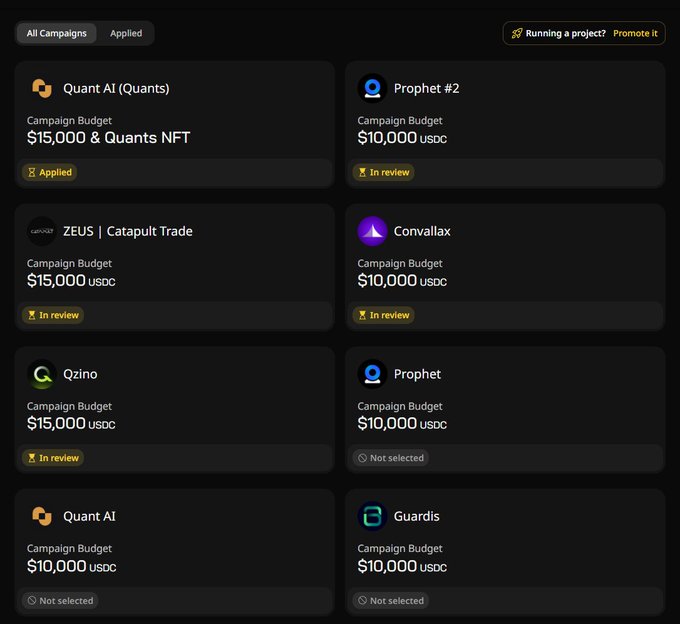 A campaign dashboard listing various crypto projects (Quant AI, Prophet #2, ZEUS Catapult Trade, Convallax, Qzino, Prophet, Guardis) with budgets in USDC and application statuses.