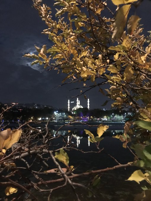 A nighttime view of an illuminated mosque with minarets, seen through tree branches and reflected in a body of water.
