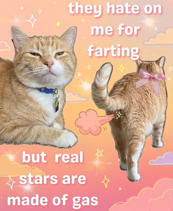 A humorous meme showing an orange tabby cat from front and back views with the text 'they hate on me for farting but real stars are made of gas' on a pink sparkly background.