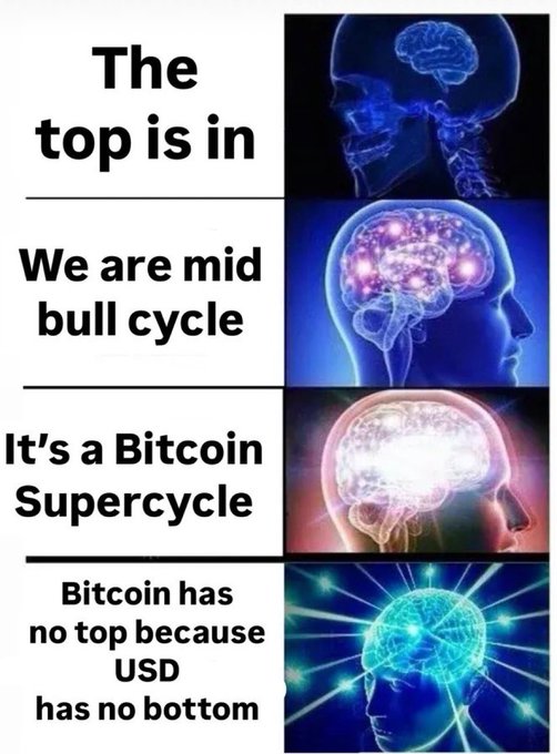 A four-panel expanding brain meme about Bitcoin cycles, progressing from 'The top is' (normal brain) to 'We are mid bull cycle' (glowing brain) to 'It's a Bitcoin Supercycle' (bright brain) to 'Bitcoin has no top because USD has no bottom' (cosmic brain).