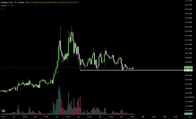 A 1-hour Raydium ($raycat) chart displays a recent rally peaking near $16-17M before consolidating around a horizontal support level near $5.79M-$6.50M, with the caption highlighting that $raycat held this floor steadily for two days while $stonk dipped -45%, suggesting potential strength for a rebound.