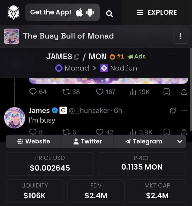A token tracker page for "The Busy Bull of Monad" (JAMES/MON) showing a price of $0.002645 USD / 0.1135 MON, market cap $2.4M, FDV $2.4M, and liquidity of $106K.