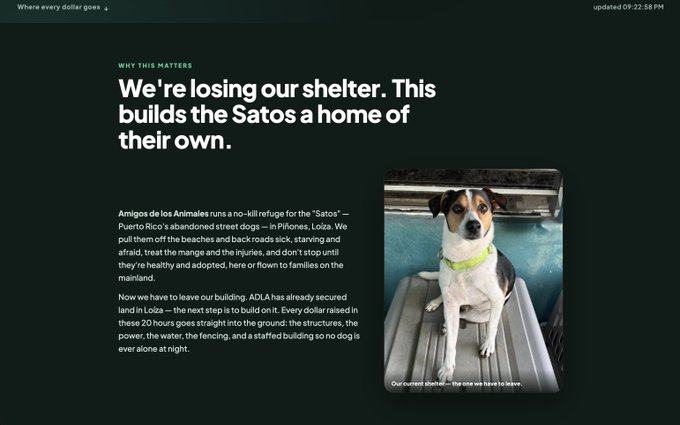 A dark webpage with the headline 'We're losing our shelter. This builds the Satos a home of their own.' discusses Amigos de los Animales and features a photo of a dog sitting in a vehicle.