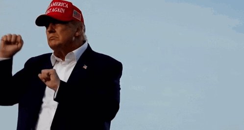 The image features a man wearing a red baseball cap with the words "America First Again" written on it while dancing next to a blue sky background that appears to be blurred out. This suggests that there might have been an event or photo opportunity involving Trump at some point in his presidency, possibly related to the phrase "America First Again." The focus of this post is the context and connection between the image and the accompanying text about the prices of cryptocurrencies since Donald Trump took office.