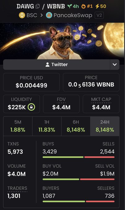 A cryptocurrency dashboard for the token DAWG on the BSC PancakeSwap V2 platform, showing price ($0.0004499), liquidity ($225K), market cap ($4.4M), and 24-hour statistics including volume and traders.