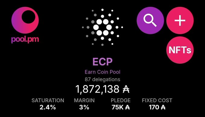 The image features a poster with three different logos, including one for Poolpm, another for ECP, and a third for NFTs (NFTs). The ECP logo has purple and white colors, while the NFT logo is pink and black. The poolside logo is red and white in color. The text on the poster reads "Thanks to a longterm delegator for increasing their stake pushing us past 1 million and almost at 2 million ADA staked". This suggests that someone has donated money or resources to support the Poolpm, ECP, and NFT projects.