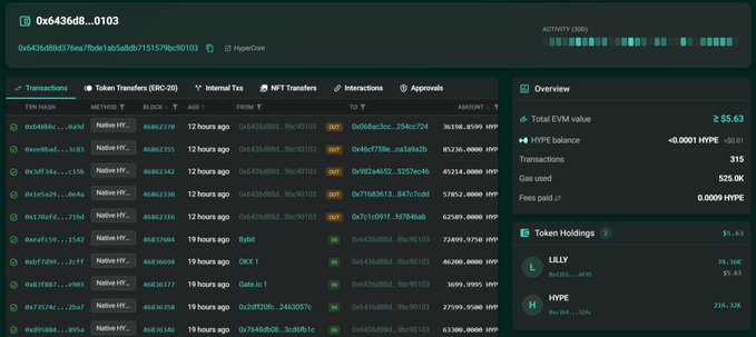 A blockchain explorer interface showing wallet '0x6436d8...0103' with 'HyperCore' transactions, an Overview indicating 315 transactions, and Token Holdings for LILLY (39.36K) and HYPE (216.32K).