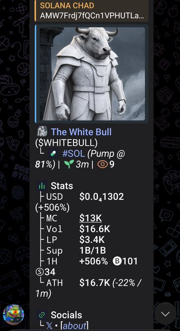 A token profile card for SOLANA CHAD featuring 'The White Bull' ($WHITEBULL) with stats including USD at $0.1302 (+506%), Market Cap $13K, Volume $16.6K, Liquidity $3.4K, and 1H performance of +506%, with social link to X | @aboutt.