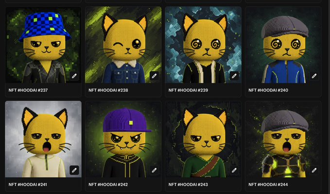 A grid of eight HODL Cat NFT character cards (#237–#244) displayed in a collection interface, featuring yellow cats in various outfits and accessories, each with a pencil edit icon — previewing upcoming NFT reveals as teased by the "Reveal drops today" announcement.