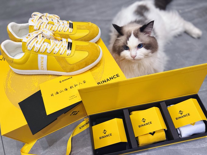 A pair of yellow Binance branded sneakers and a yellow gift box containing Binance merchandise, accompanied by a fluffy Ragdoll cat with blue eyes.