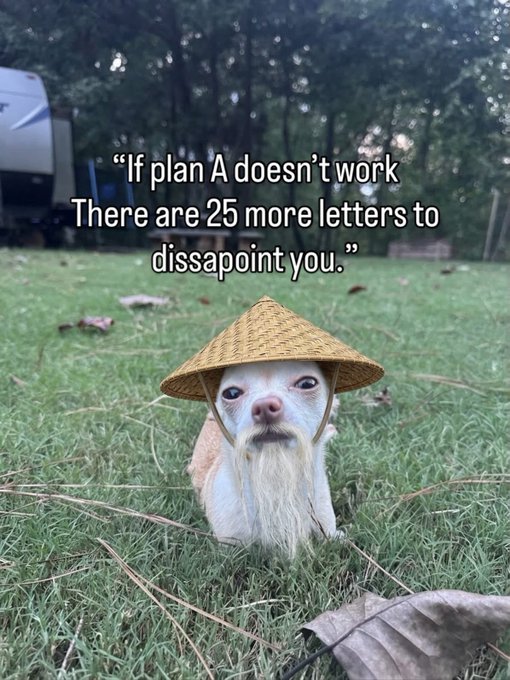 A small white and tan dog wearing a conical straw hat sits on grass with the overlaid text: 'If plan A doesn't work There are 25 more letters to dissapoint you.'