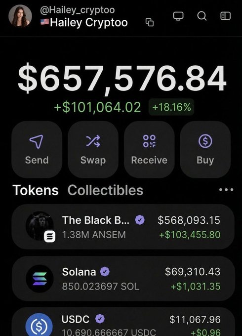 A crypto wallet screenshot for user @Hailey_cryptoo displays a portfolio balance of $657,576.84 (+18.16%), showing holdings including "The Black B..." token ($568,093.15), 850.02 SOL ($69,310.43), and 10.69 USDC ($11,067.96) — used as proof of wealth to promote a fake SOL airdrop giveaway claiming to send crypto to 25 random wallets.