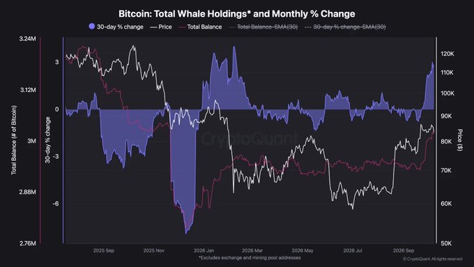 A CryptoQuant chart titled 'Bitcoin: Total Whale Holdings* and Monthly % Change,' showing total balance, price, and 30-day percentage change trends from September 2025 through September 2026.