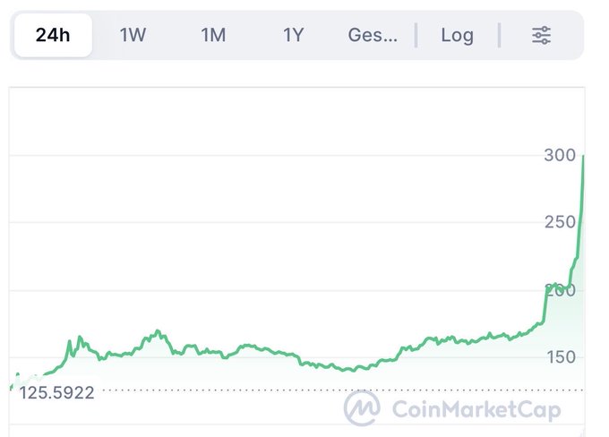 A CoinMarketCap 24-hour price chart showing a sharp upward spike reaching approximately 300 from a baseline around 125.5922.