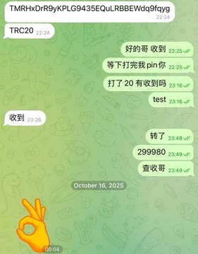 A WhatsApp chat screenshot dated October 16, 2025, showing messages in Chinese discussing a USDT (TRC20) transaction for 299980 (likely RMB), confirming receipt of funds.