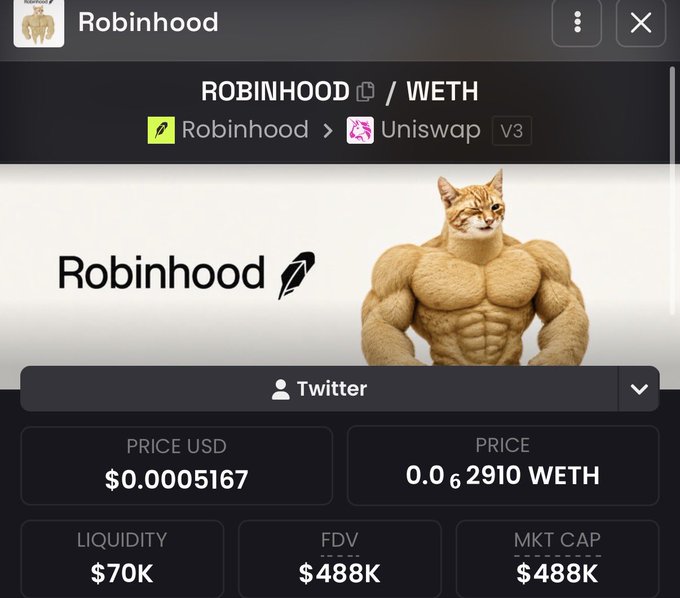 The image shows a meme coin called "Robinhood" ($ROBINHOOD/WETH) on Uniswap V3, displaying stats like a $0.0005167 price, $70k liquidity, and a $488K market cap, alongside a humorous muscular cat mascot. The post uses this token's metrics to contrast an established community coin with newer tokens that often get rugged, emphasizing the importance of research before investing.
