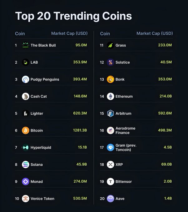 A list titled 'Top 20 Trending Coins' displaying cryptocurrencies with their market caps, including The Black Bull (95.0M), LAB (353.9M), Pudgy Penguins (393.4M), Bitcoin (1281.3B), and Solana (45.9B).