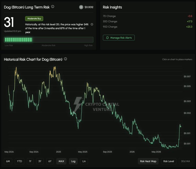 A cryptocurrency risk dashboard displaying "Dog (Bitcoin) Long Term Risk" with a score of 31 (Moderate Buy), historical data showing the price was higher 54% of the time after 3 months and 87% after 1 year, with a historical risk chart from Crypto Capital Venture.