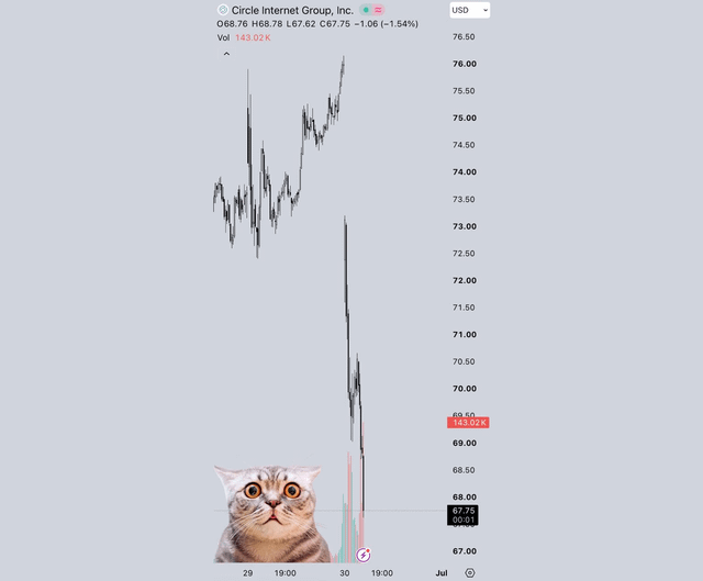 Cryptocurrency price chart for Circle Internet Group (CIR) showing a sharp drop, with a wide-eyed shocked cat meme superimposed on the crash.