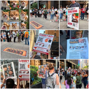 A collage shows people at street protests holding signs and posters, including ones reading "WE'RE WITH HANG WANG," "DON'T BUY," and "JUSTICE FOR HANGWANG," with crowds gathered in a city setting holding flyers featuring dog imagery, illustrating a public demonstration in defense of dogs that the post compares to past animal-related protest movements like $PUNCH and $PNUT.
