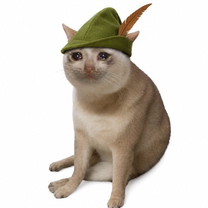 A Siamese cat wearing a green Robin Hood-style hat with a feather, playfully personifying the "Cash Cat" character alongside the "Robinhood Meta + Cash Cat SEND IT" investment theme.