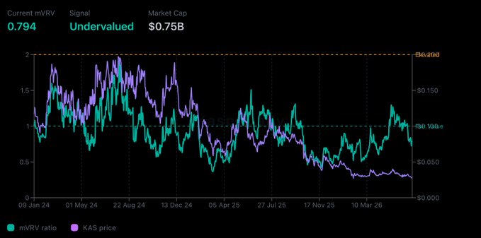 A financial chart displays Kaspa (KAS) metrics with a current mVRV ratio of 0.794 marked as "Undervalued" and a market cap of $0.75B. The graph plots the mVRV ratio (teal) against KAS price (purple) from January 2024 through March 2026, with the mVRV line trending downward and currently sitting well below the "Fair Value" line at 1, while KAS price has declined toward the $0.050 level on the right axis.