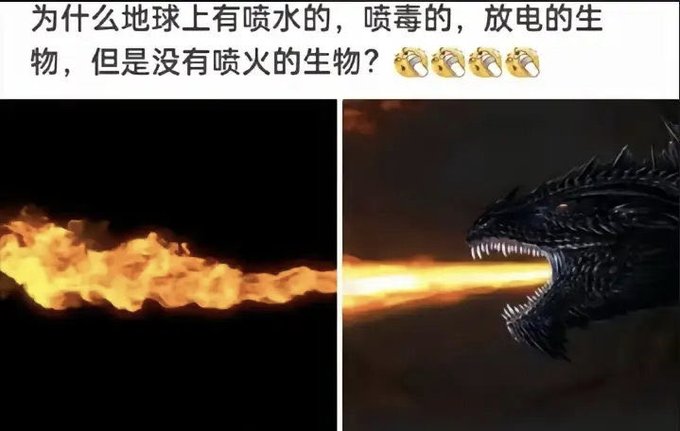 Chinese text asking why there are creatures that spray water, venom, or electricity but none that breathe fire, accompanied by an image of a dragon exhaling flames.