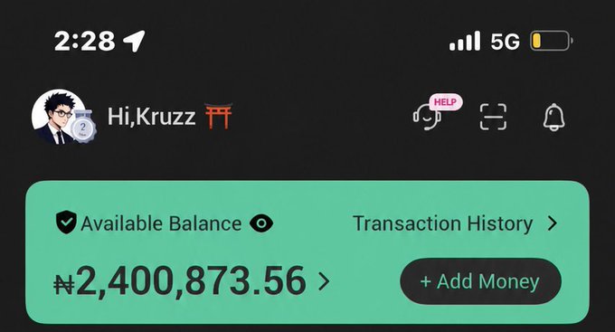 A screenshot of a mobile wallet app shows a user named "Kruzz" with an available balance of ₦2,400,873.56, with an "+ Add Money" button and "Transaction History" option visible. The image humorously relates to the post by suggesting the choice between using the substantial balance to pay school fees or to invest in the meme coin $ANSEM.