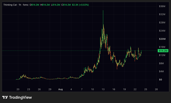 TradingView 1-hour chart for 'Thinking Cat' showing price action peaking around $34M before settling near $14.2M, with 24h volume of 2.3K and slight +0.02% change.
