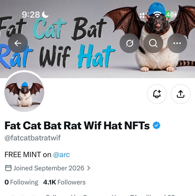 A social media profile screenshot for "Fat Cat Bat Rat Wif Hat NFTs" (@fatcatbatratwif), advertising a "FREE MINT on @arc" with 4.1K followers.