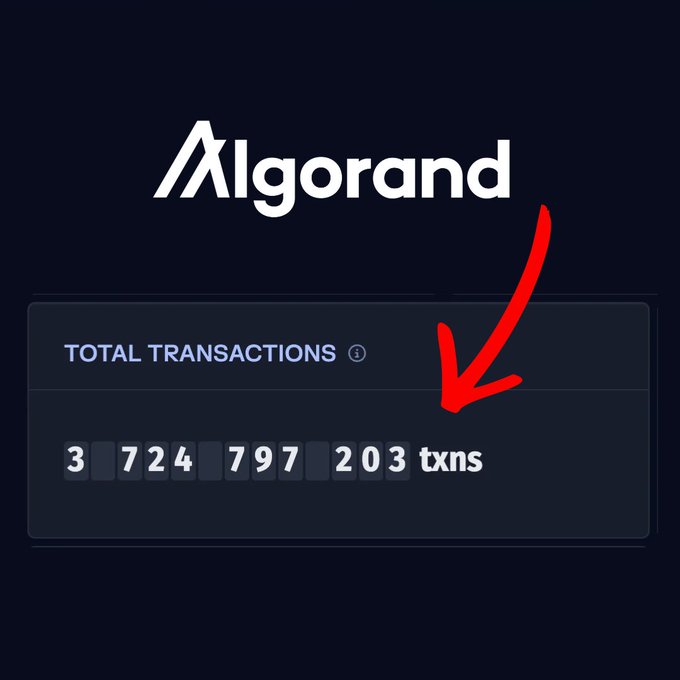 The image shows the Algorand logo above a dark dashboard panel that displays "TOTAL TRANSACTIONS: 3,724,797,203 txns," highlighted by a red arrow pointing at the number. The caption appears to counter Injective's claim by showcasing Algorand's substantial transaction count of over 3.7 billion.