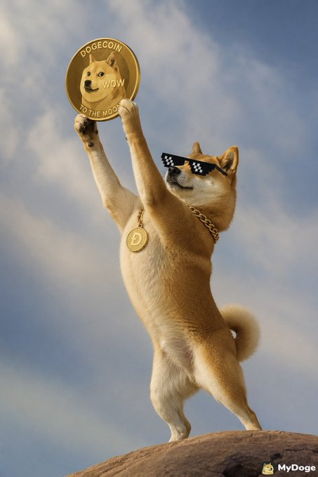 A Shiba Inu dog wearing pixelated "deal with it" sunglasses and a gold "Ð" chain stands triumphantly on a rock, holding up a giant Dogecoin coin inscribed with "DOGECOIN," "WOW," and "TO THE MOON" against a cloudy sky. The image is watermarked "MyDoge" in the bottom right corner.