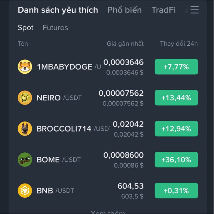 A cryptocurrency trading interface in Vietnamese showing a favorites list ('Danh sách yêu thích') with meme coins like 1MBABYDOGE, NEIRO, BROCCOLI714, BOME, and BNB alongside their prices and 24-hour percentage gains.